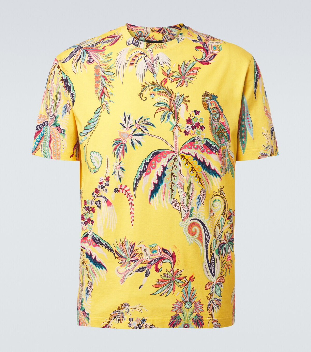 Etro Printed cotton jersey T-shirt