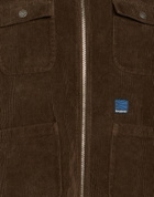 Rassvet Womens Jacket in Brown