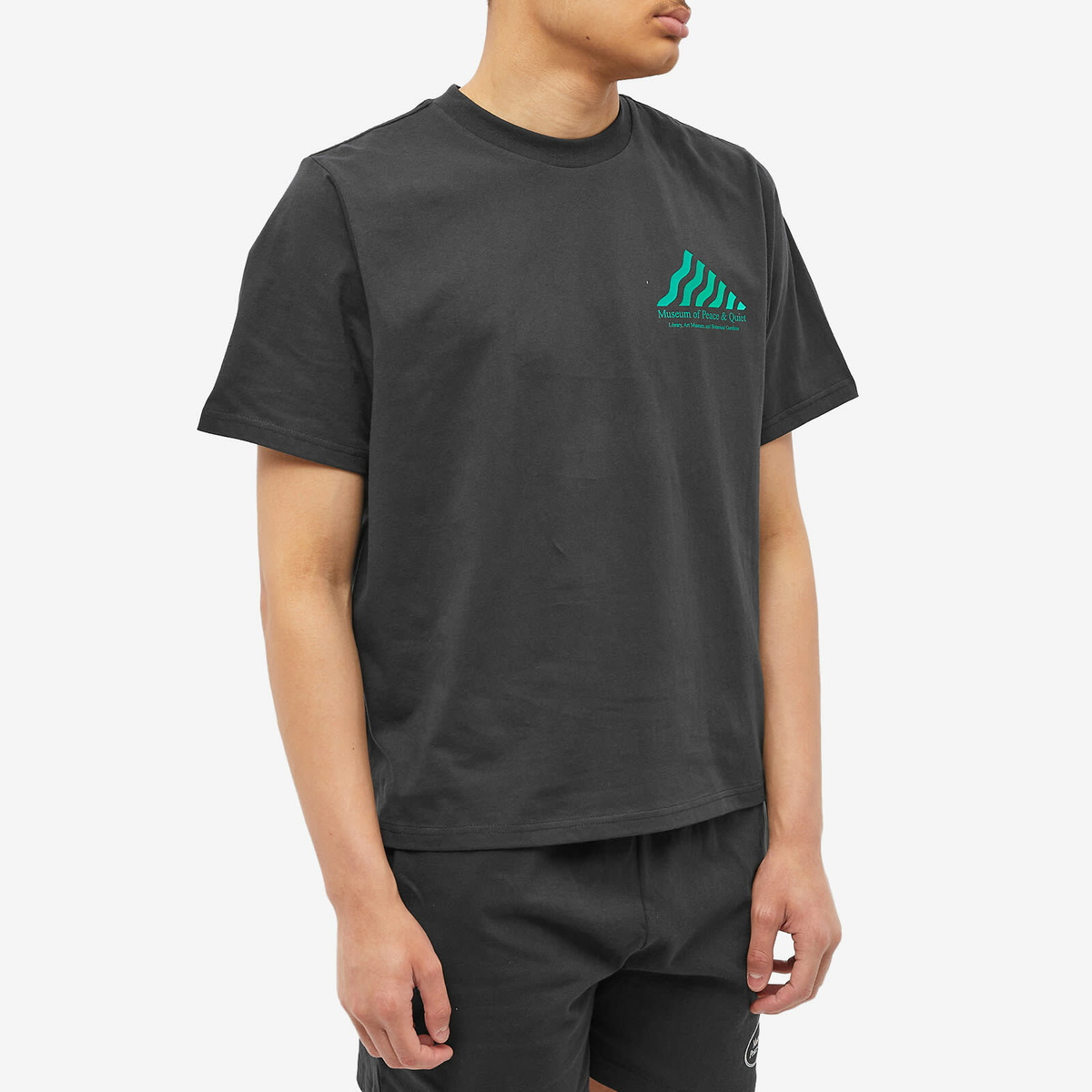 Museum of Peace and Quiet Men's Library T-Shirt in Black