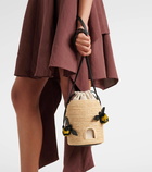 Loewe Paula's Ibiza Beehive raffia crossbody bag