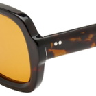 Ace & Tate Women's Twiggy Sunglasses in Mulberry Tree/Amber