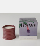 Loewe Home Scents Beetroot Small candle