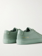 Common Projects - Original Achilles Leather Sneakers - Green