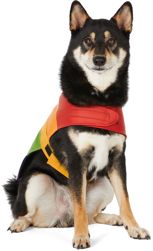 Photo: Stutterheim Multicolor Vladimir Dog Raincoat