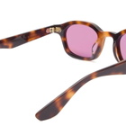 AKILA Ceres Sunglasses in Havana/Pomegranate 