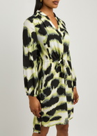 Diane Von Furstenberg Sonoya Printed Chiffon Mini Dress Multicoloured