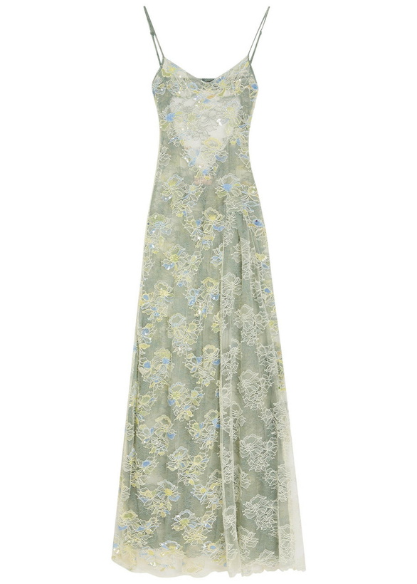 Photo: Roberta Einer Sophia Embellished Stretch-lace Maxi Dress Yellow