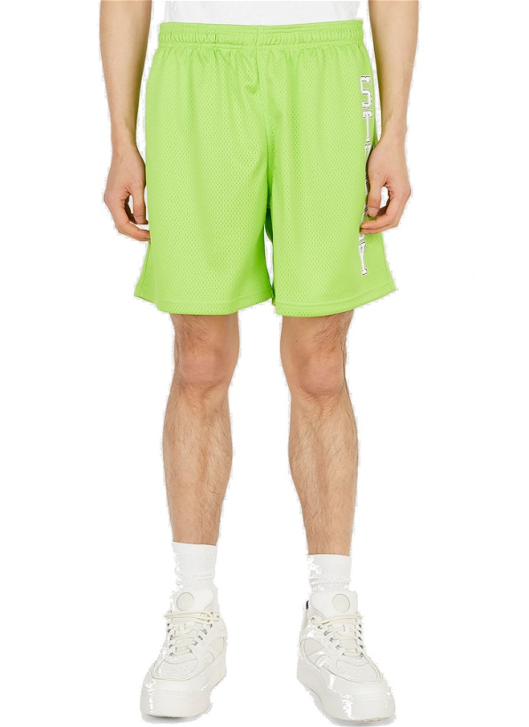 Photo: Collegiate Mesh Shorts in Green