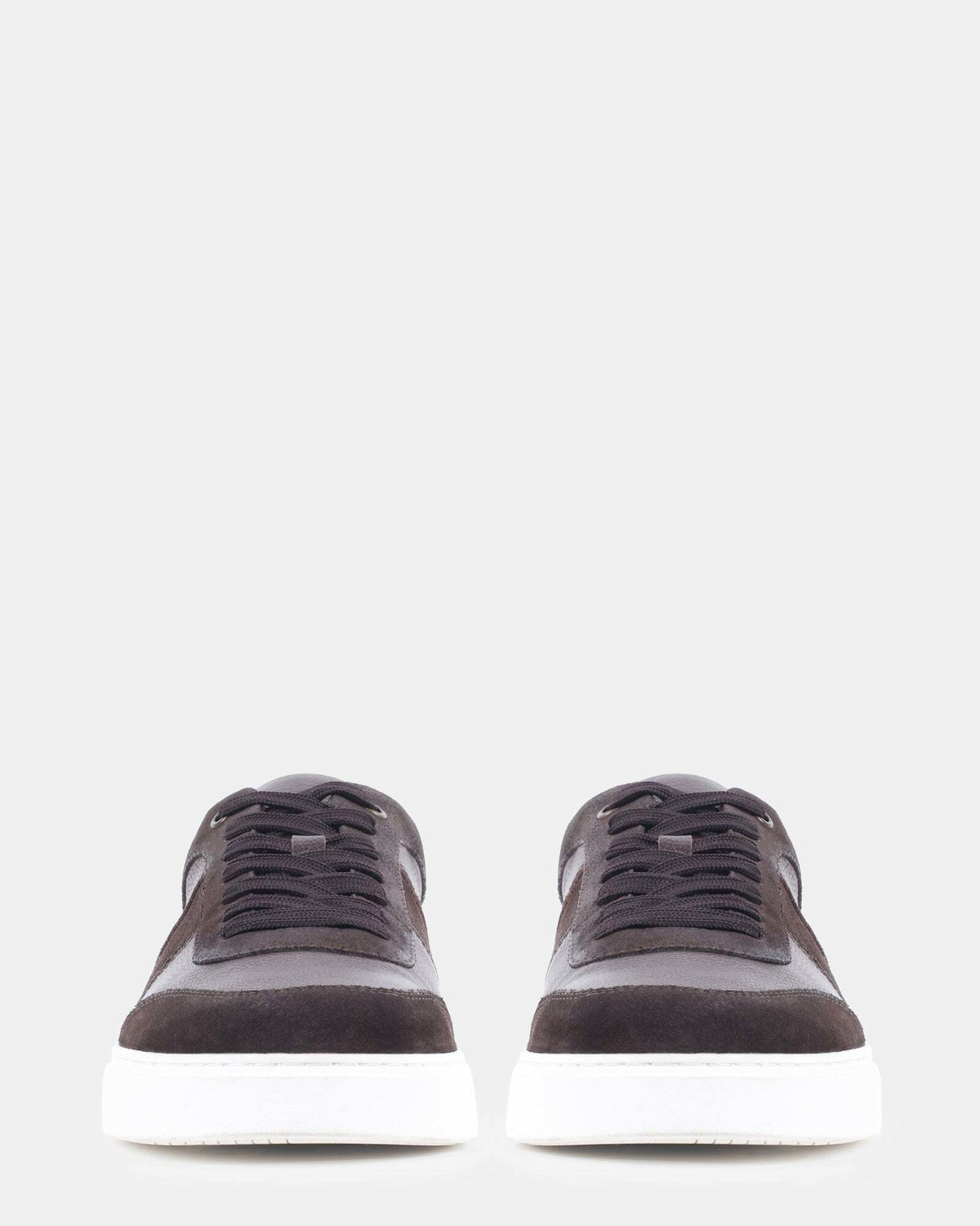 Steve Madden Addler Sneakers in Brown
