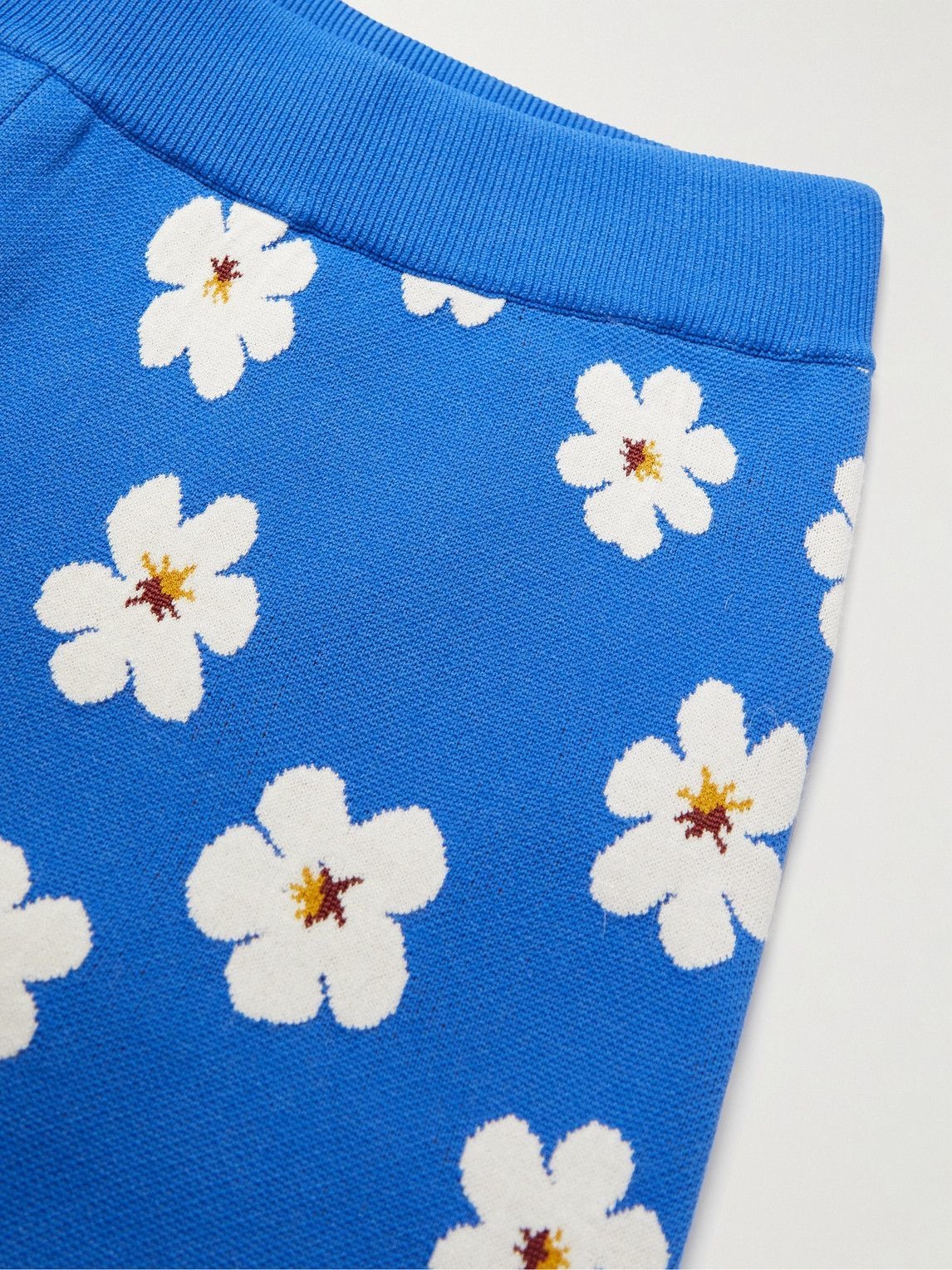 Marni Ladies Floral-print Bootcut Trousers, Brand Size 40 (US Size 8)  PAMA0212A0-UTC005-TRW08 - Apparel - Jomashop