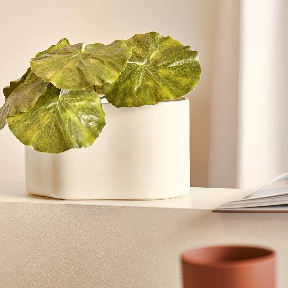 Artek Riihitie Plant Pot Shape A - Small in White Gloss Artek