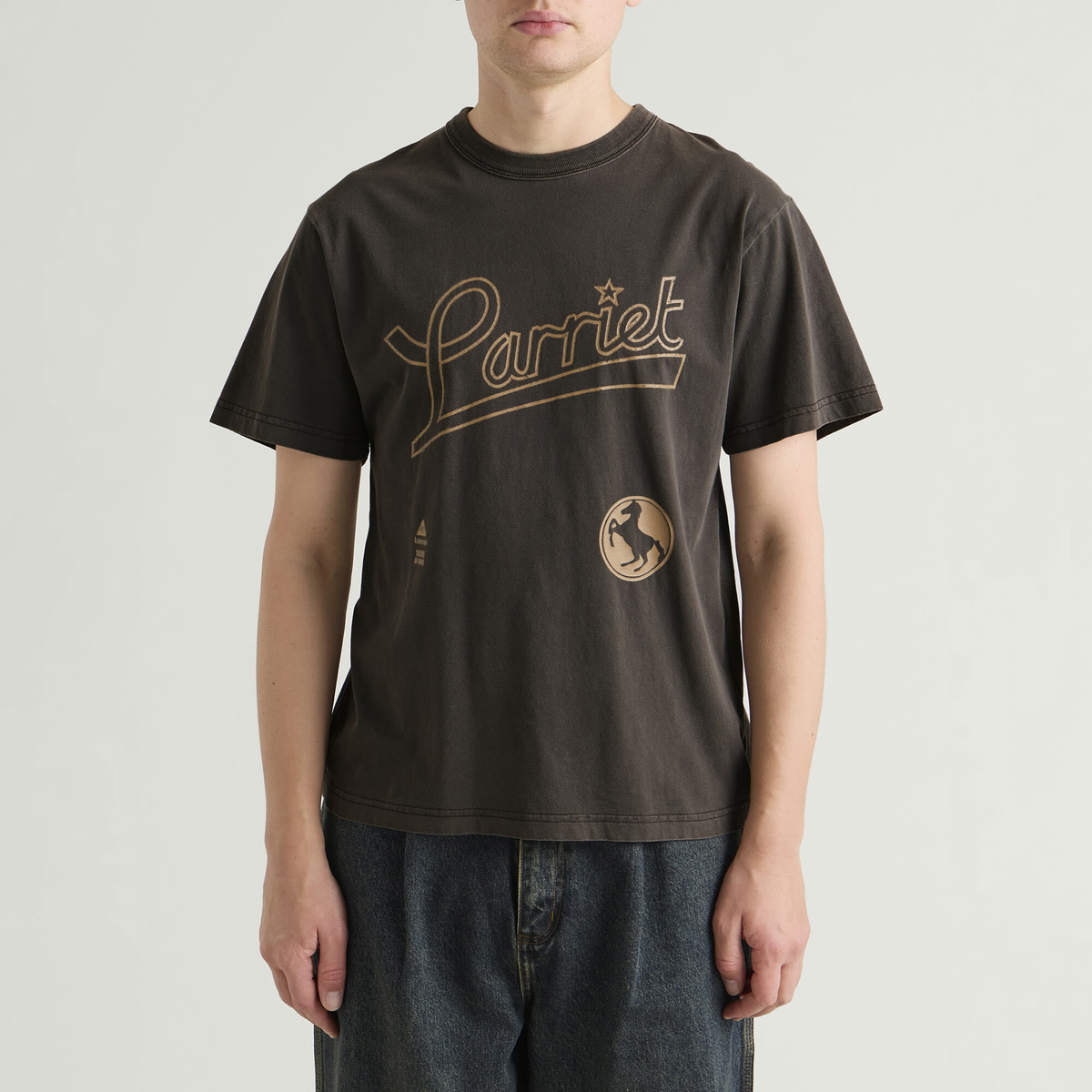 Larriet Men's Tried & True T-Shirt in Dark Brown