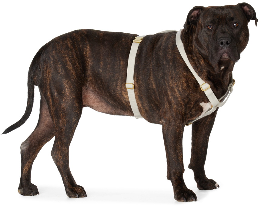 See Scout Sleep Gray The Scot Extra Large Original Harness