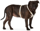 See Scout Sleep Gray The Scot Extra Large Original Harness