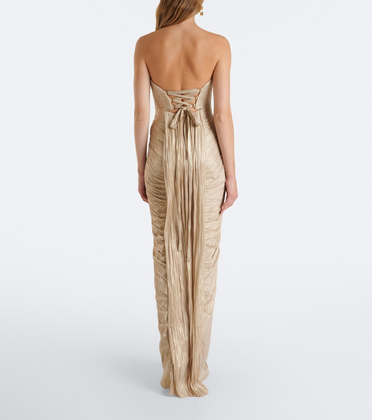 Maria Lucia Hohan Jasleen pleated silk bustier gown
