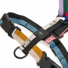 HAY Dog Harness - Medium in Multi 