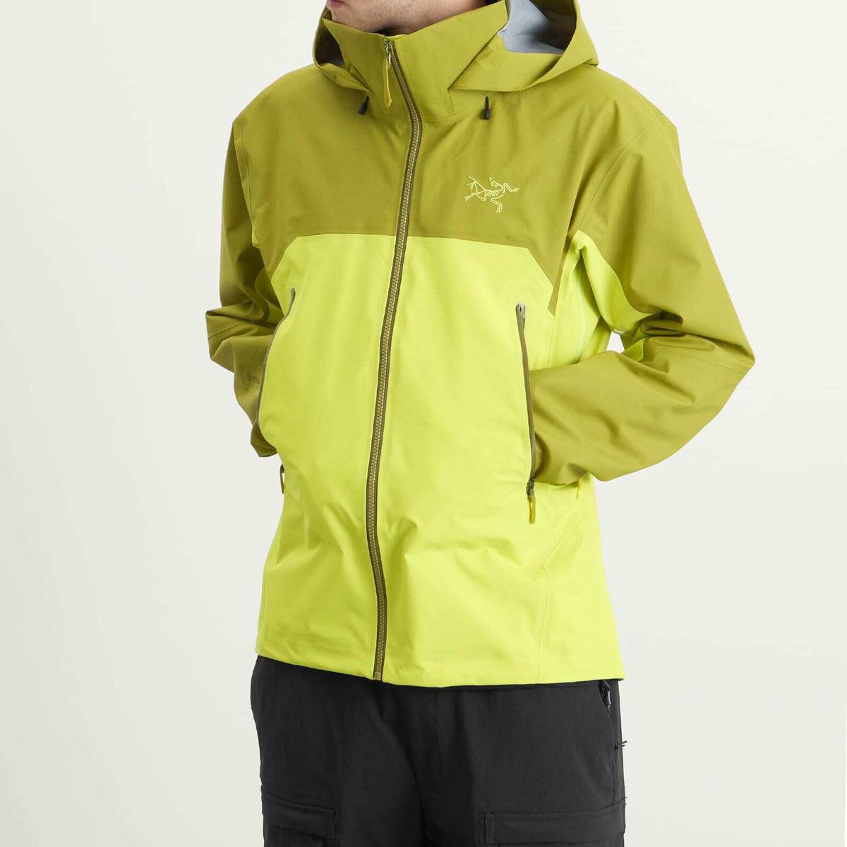 Arc'teryx Men's Beta AR Gore-Tex Jacket in Olive Moss
