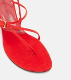Herbert Levine Starry Eyed 50 suede sandals