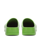 Birkenstock Super Birki in Apple Green