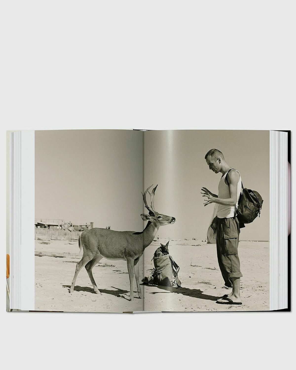 Wolfgang Tillmans. four books. 45th Ed. TASCHEN Books