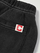 Cherry Los Angeles - Classic Tapered Cotton-Jersey Sweatpants - Black