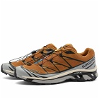 Salomon XT-6 Sneakers in Cathay Spice/Quarry/Rose Cloud
