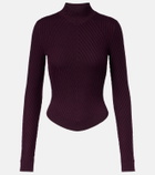 Victoria Beckham Ribbed-knit wool turtleneck top