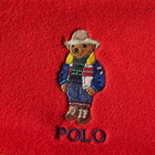 Polo Ralph Lauren Men's Colour Block Bear Quarterzip Sweat in Multi