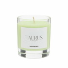 Horosoaps Taurus Candle 