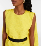 Roksanda Elia caped ruffled cloque minidress