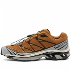 Salomon XT-6 Sneakers in Cathay Spice/Quarry/Rose Cloud