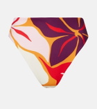 Cala de la Cruz Lulu printed bikini bottoms