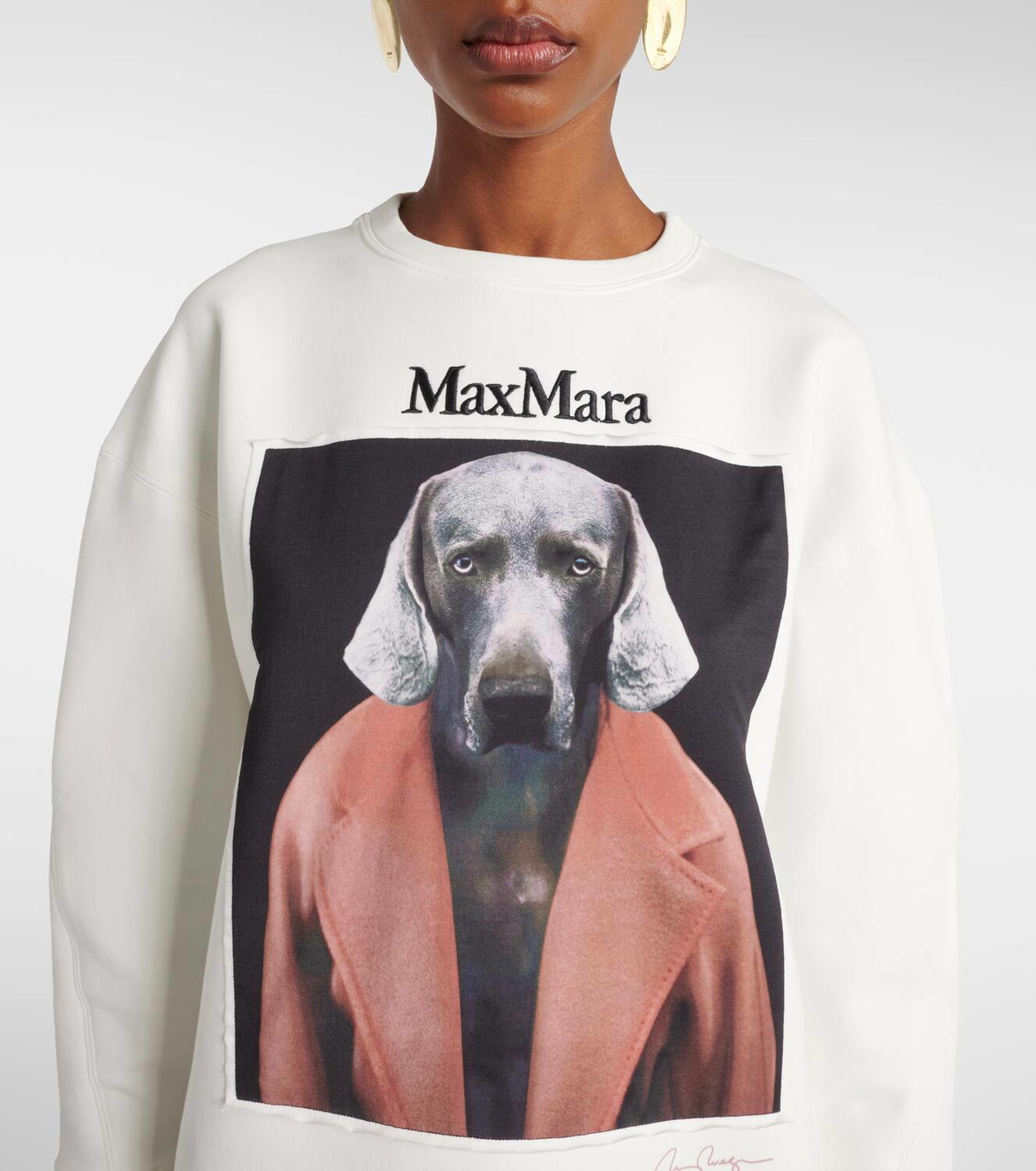 Max Mara Bacco printed cotton-blend sweatshirt