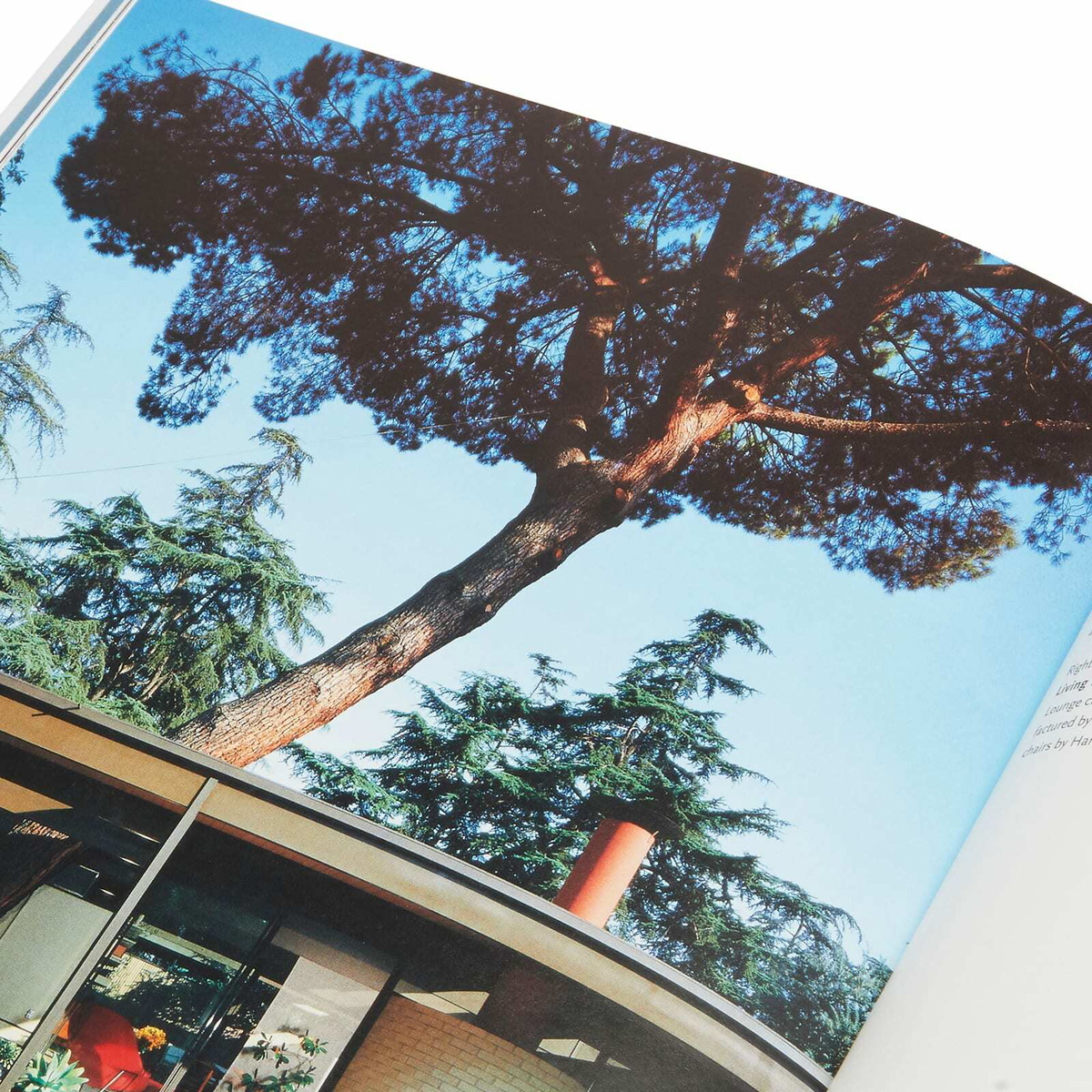 Taschen Case Study Houses in Elizabeth A. T. Smith 