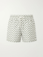 Frescobol Carioca - Rio Printed Swim Shorts - Green