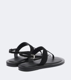 A.Emery Somerset suede thong sandals