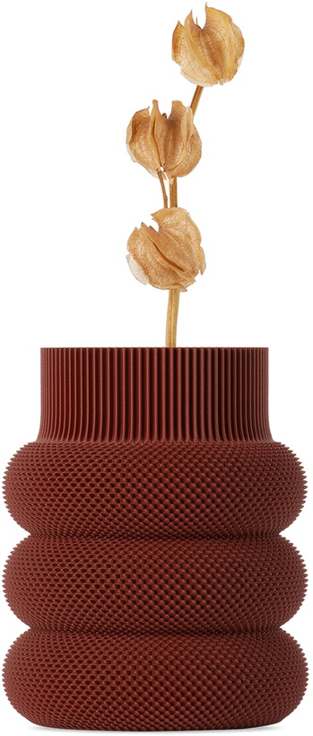 Photo: Sheyn Red Dorn Vase
