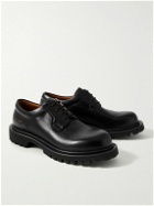 Common Projects - Leather Derby Shoes - Black