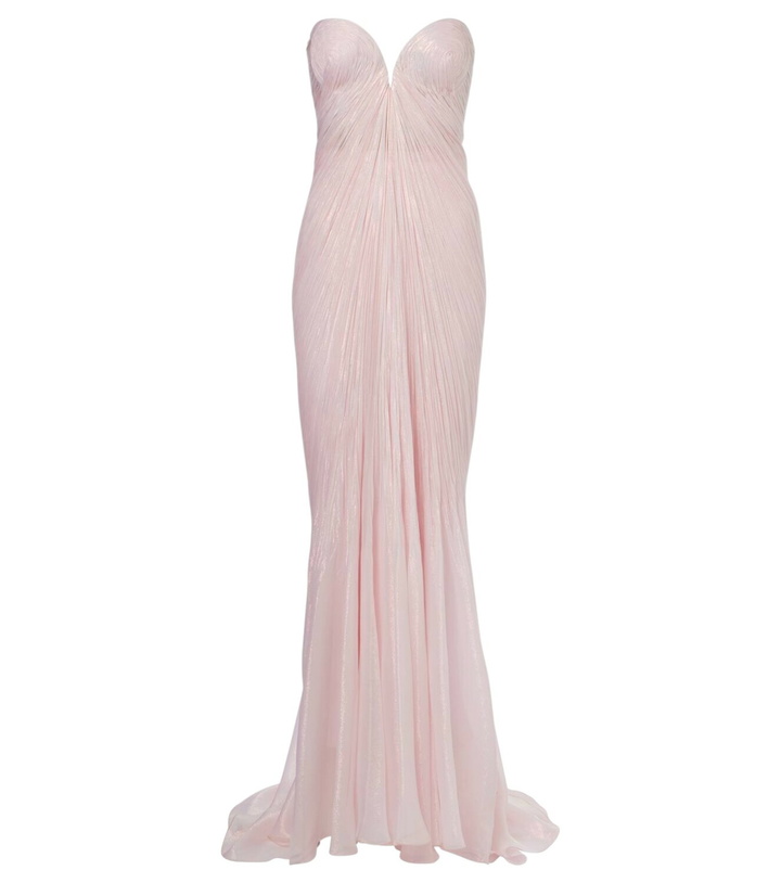 Photo: Maria Lucia Hohan Meilien pleated silk-blend chiffon gown