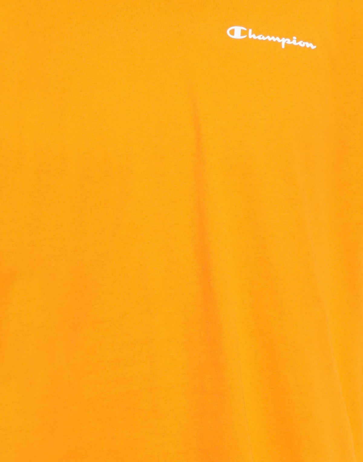 Champion Mens T-shirt in Orange