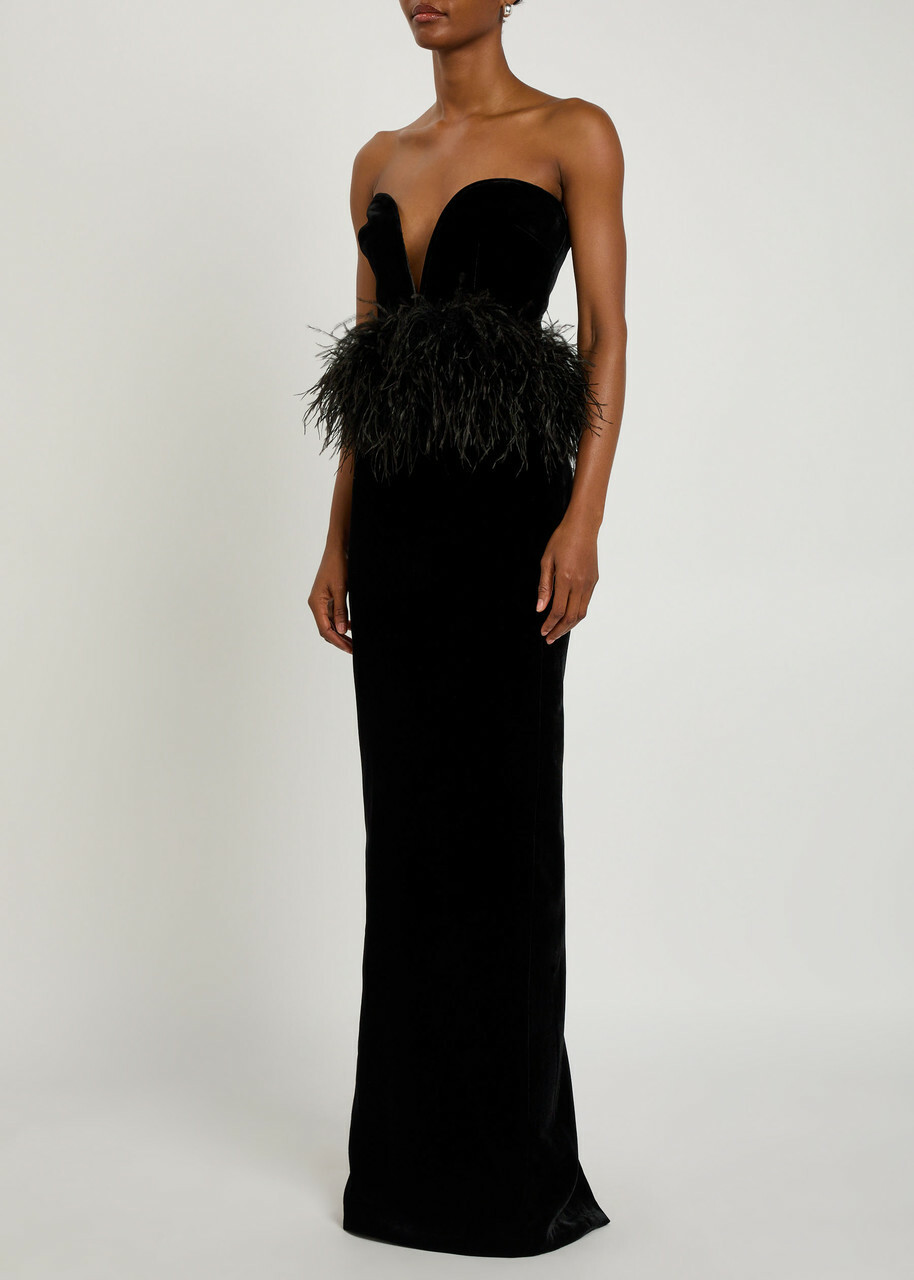 The New Arrivals Ilkyaz Ozel Sienna Feather-appliquéd Velvet Maxi Dress Black