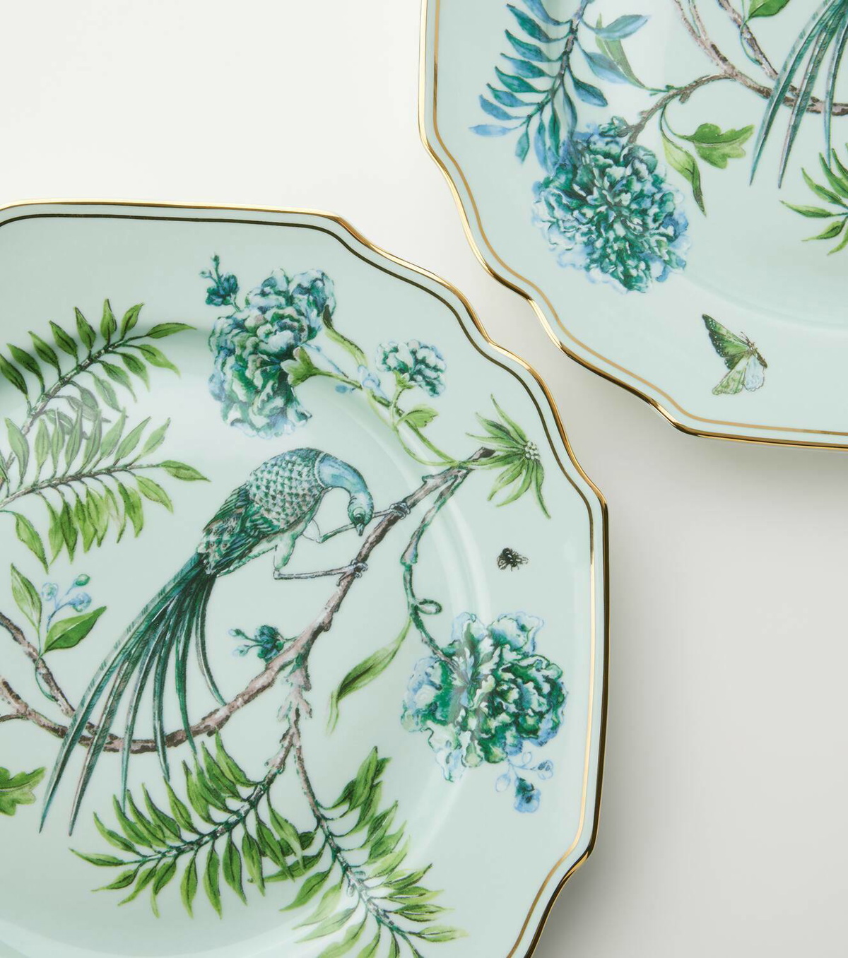 Aquazzura Casa Secret Garden set of 2 dinner plates