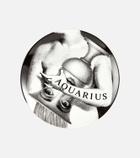 Fornasetti Tema e Variazioni N.358 Aquarius wall plate