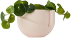 Light and Ladder Pink Vayu Planter