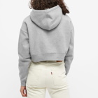 Dickies Women's Oakport Cropped Hoody in Grey Melange