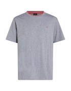 Paul & Shark Mens T-shirt in Grey