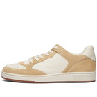 Polo Ralph Lauren Men's Court Low Top Sneakers in Bone/Ecru