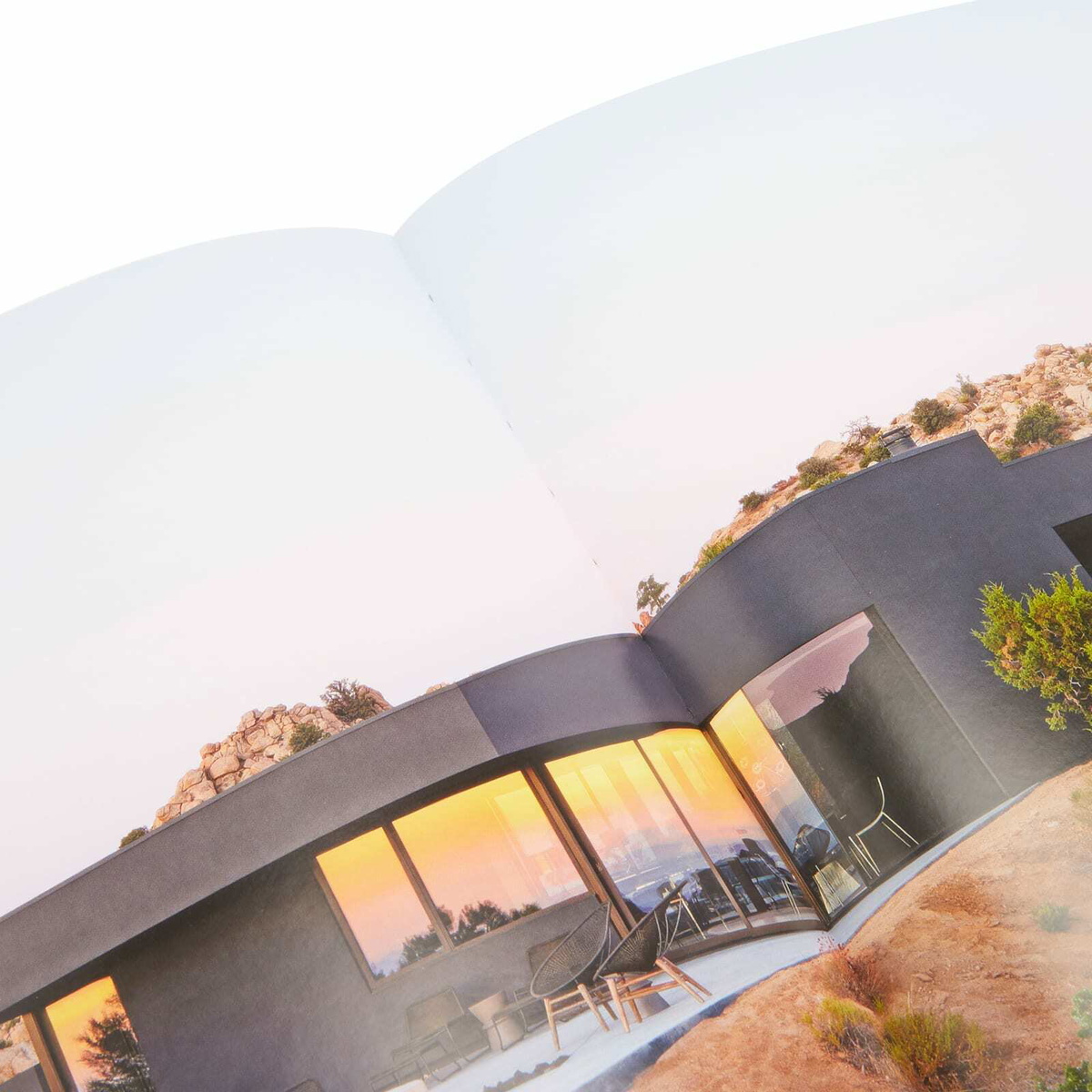 Assouline Palm Springs in Sheila Hamilton 