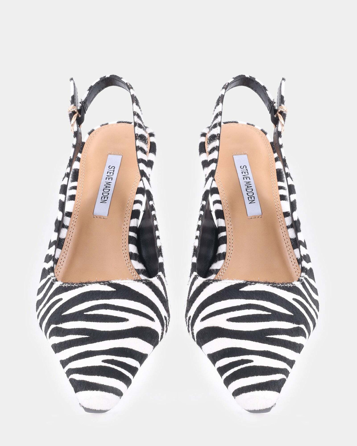Steve Madden Charming Heels in Zebra