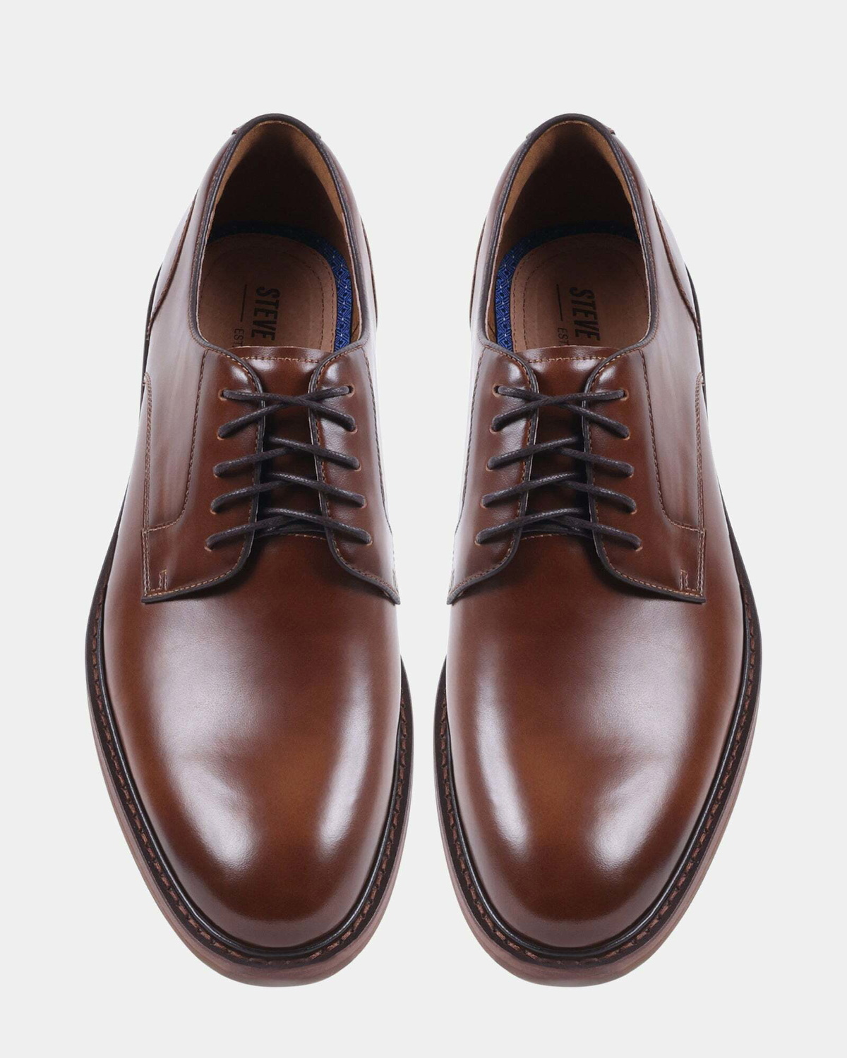 Steve Madden Cigma Dress Shoes in Cognac
